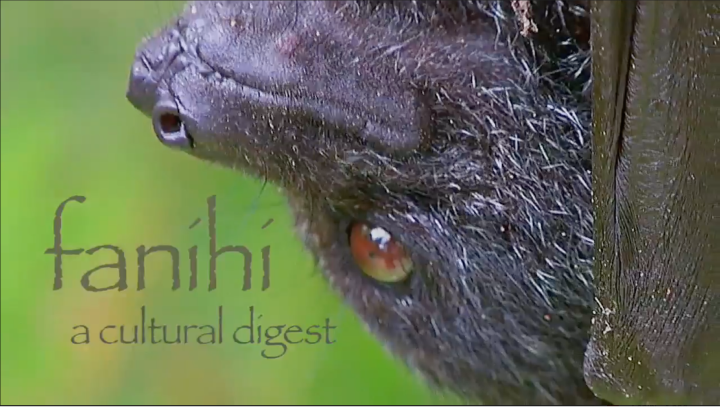 'Fanihi' thumbnail displaying the face of a bat.