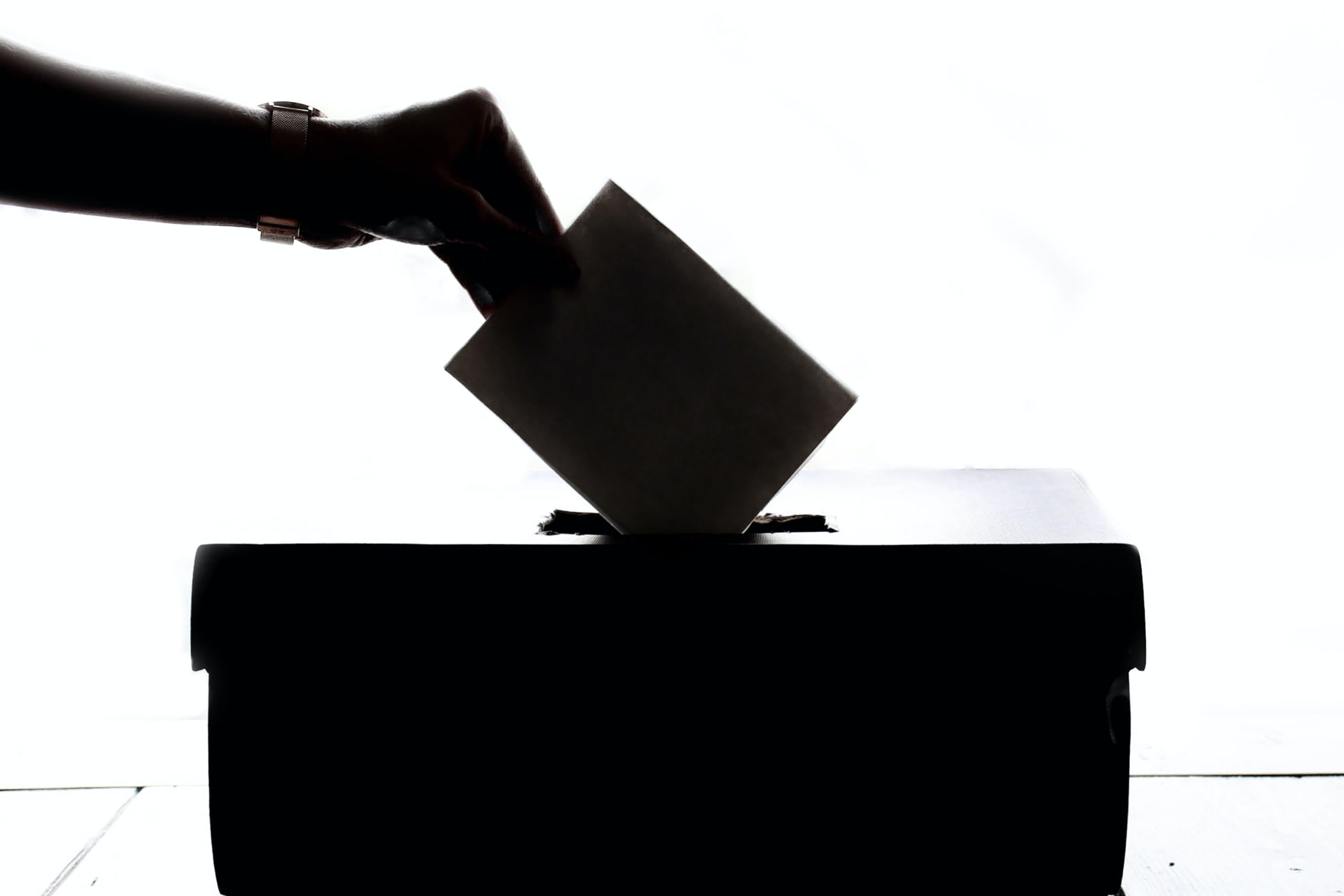 black and white photo of a hand casting a ballot